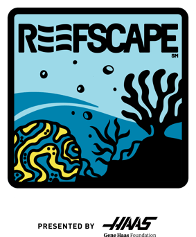 FIRST_DIVE-FTC-intothedeep-patchlogo